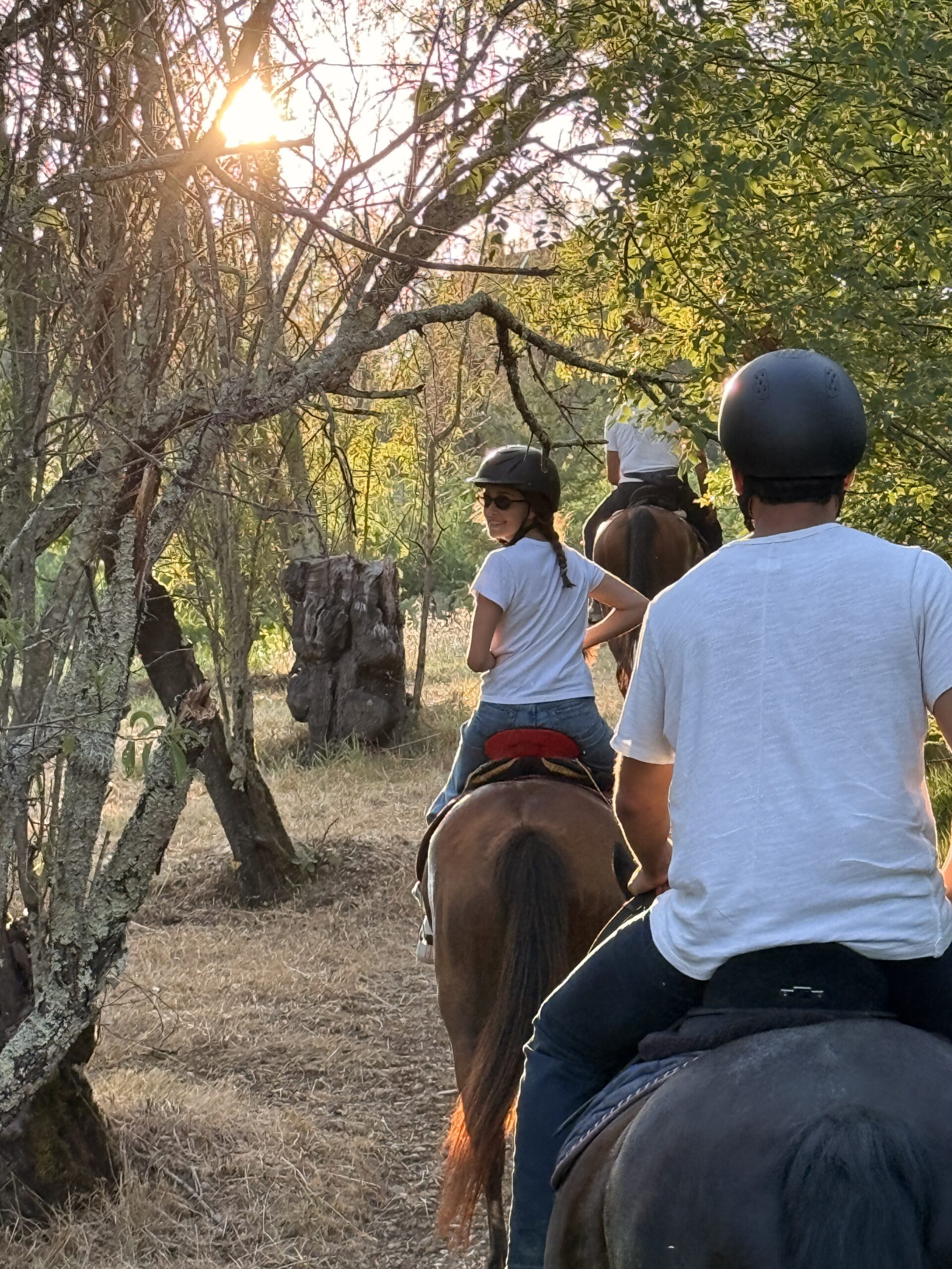sunset horse bacl riding