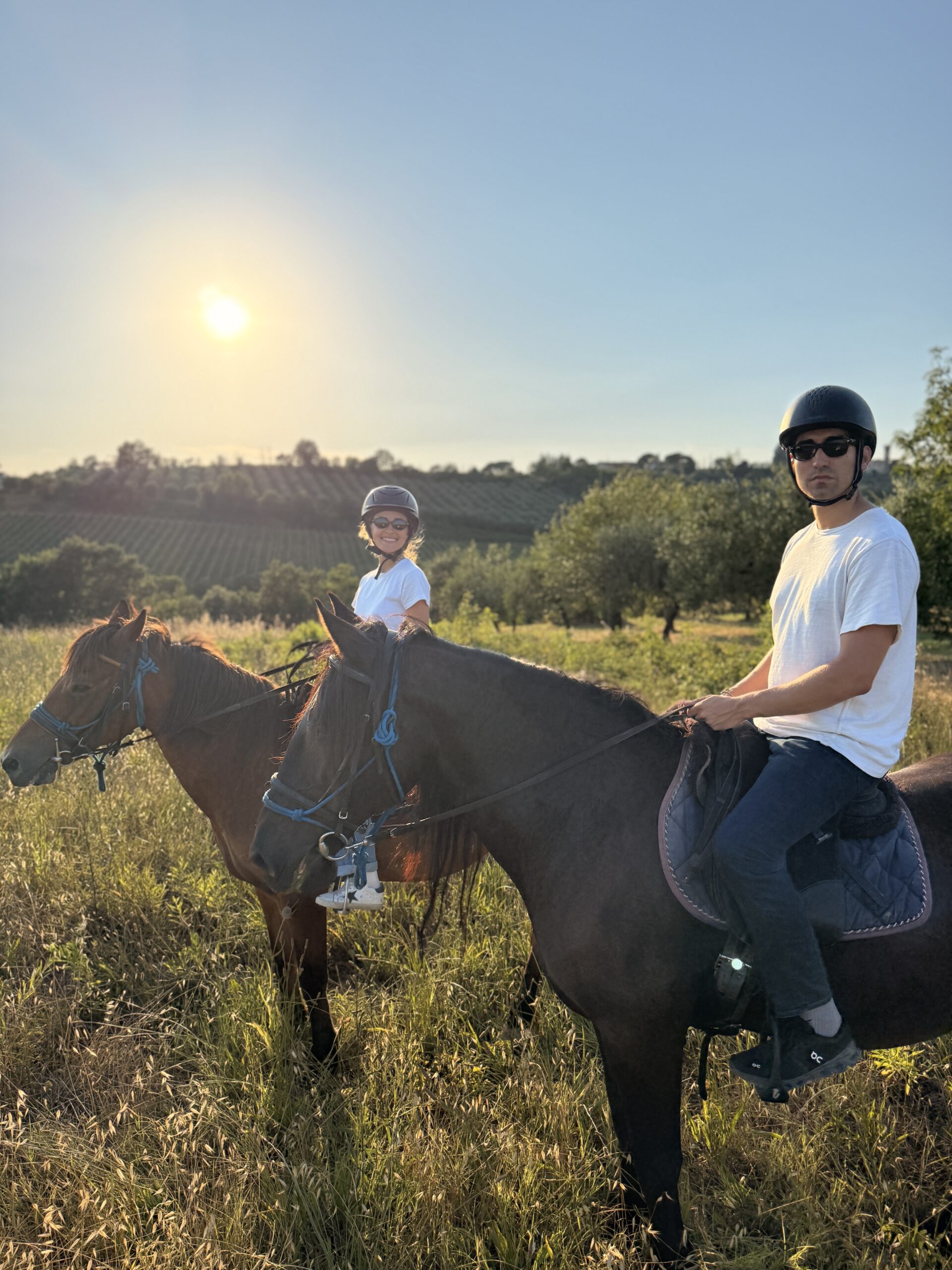 horse