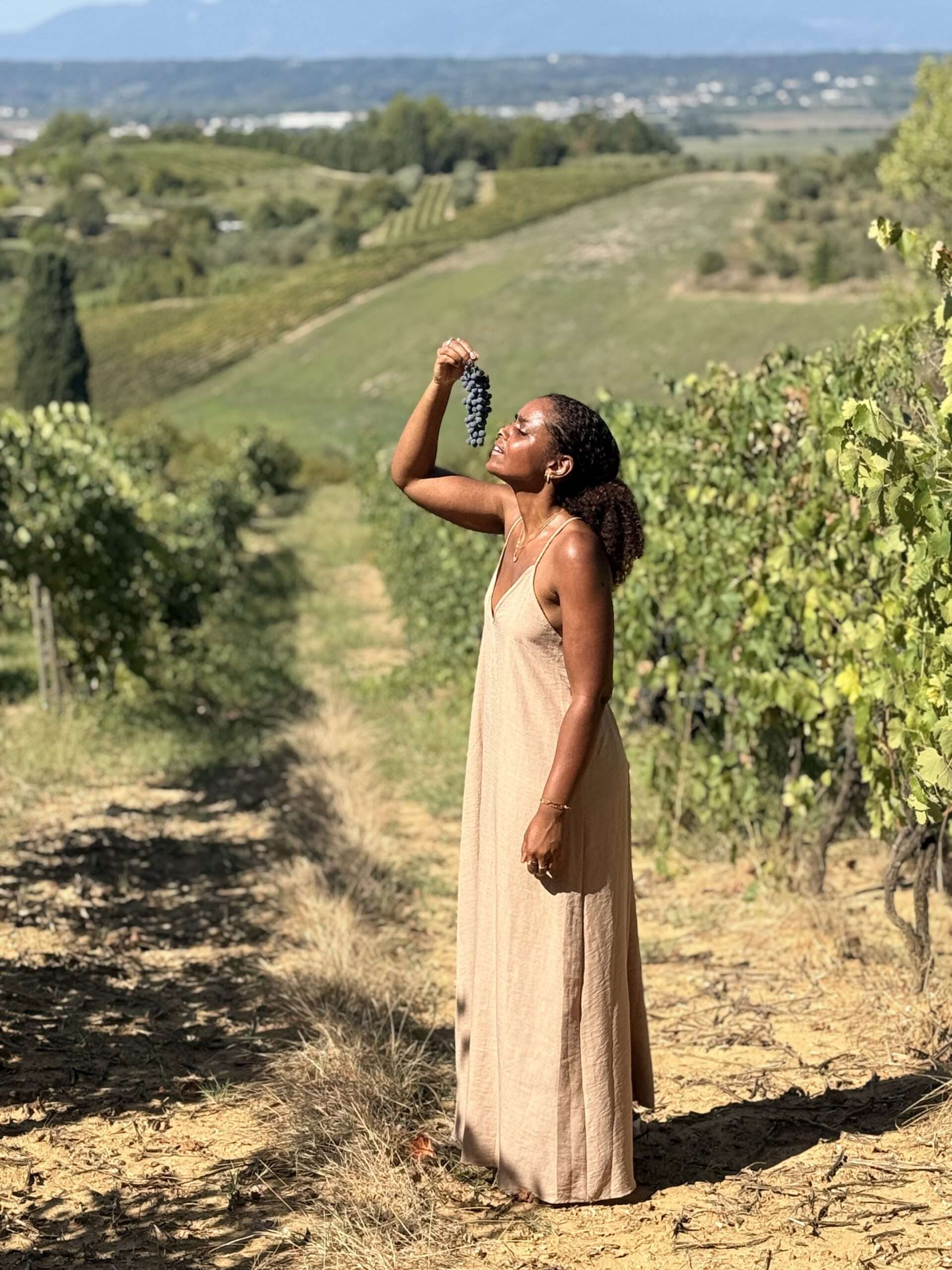 hiking vineyards
